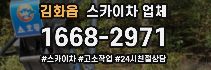 김화읍 스카이차 업체
