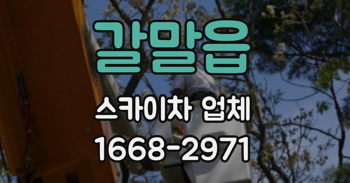 갈말읍 스카이차 업체