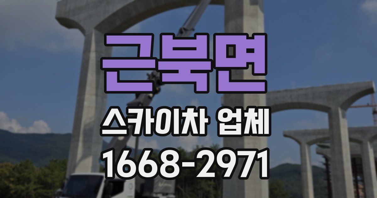 근북면 스카이차 업체