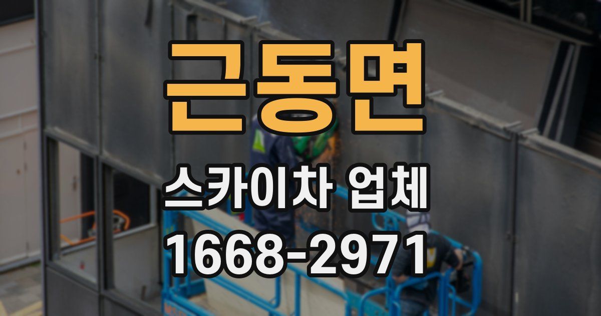 근동면 스카이차 업체