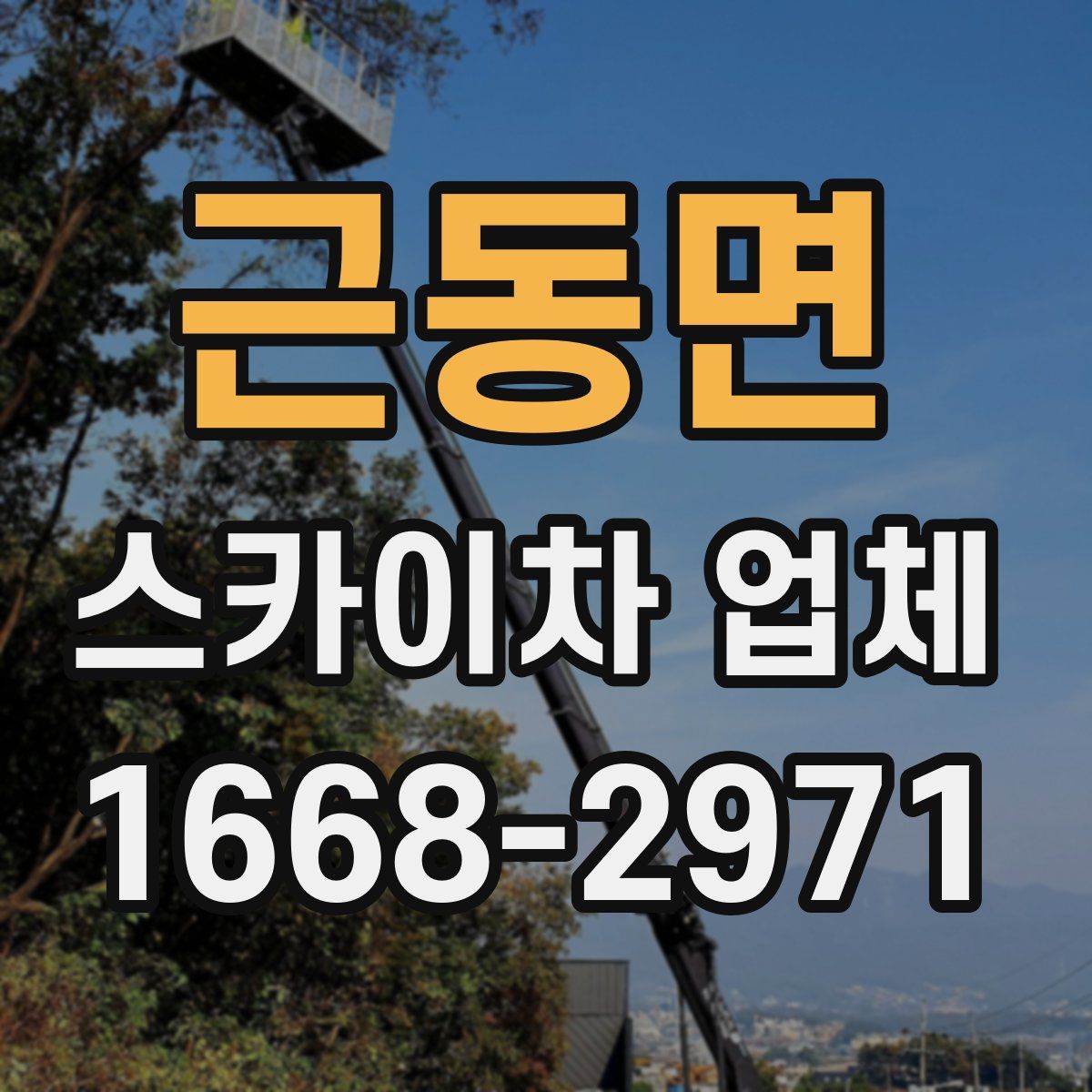 근동면 스카이차 업체