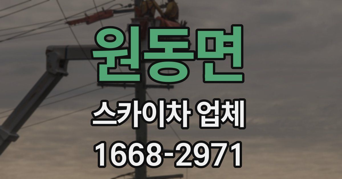 원동면 스카이차 업체