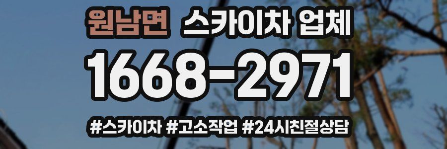 원남면 스카이차 업체