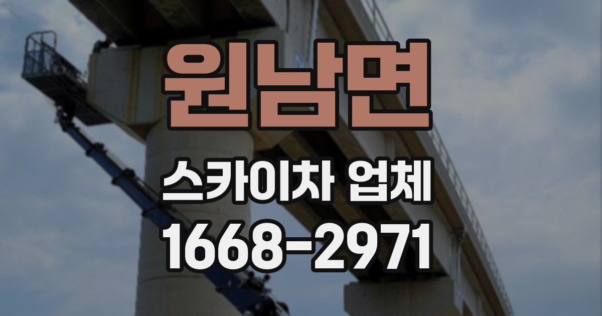 원남면 스카이차 업체