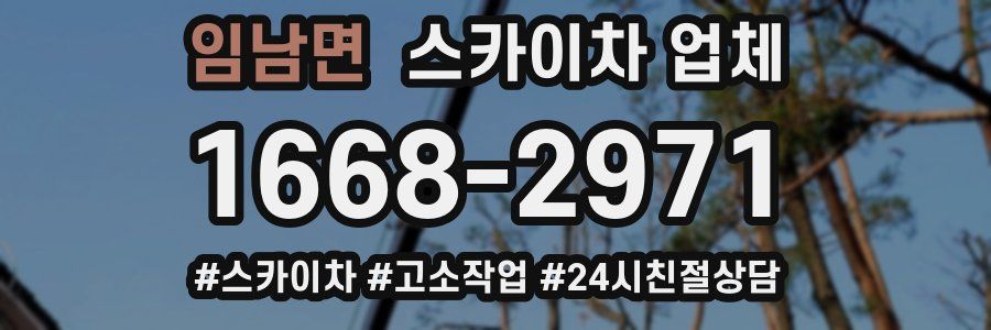 임남면 스카이차 업체
