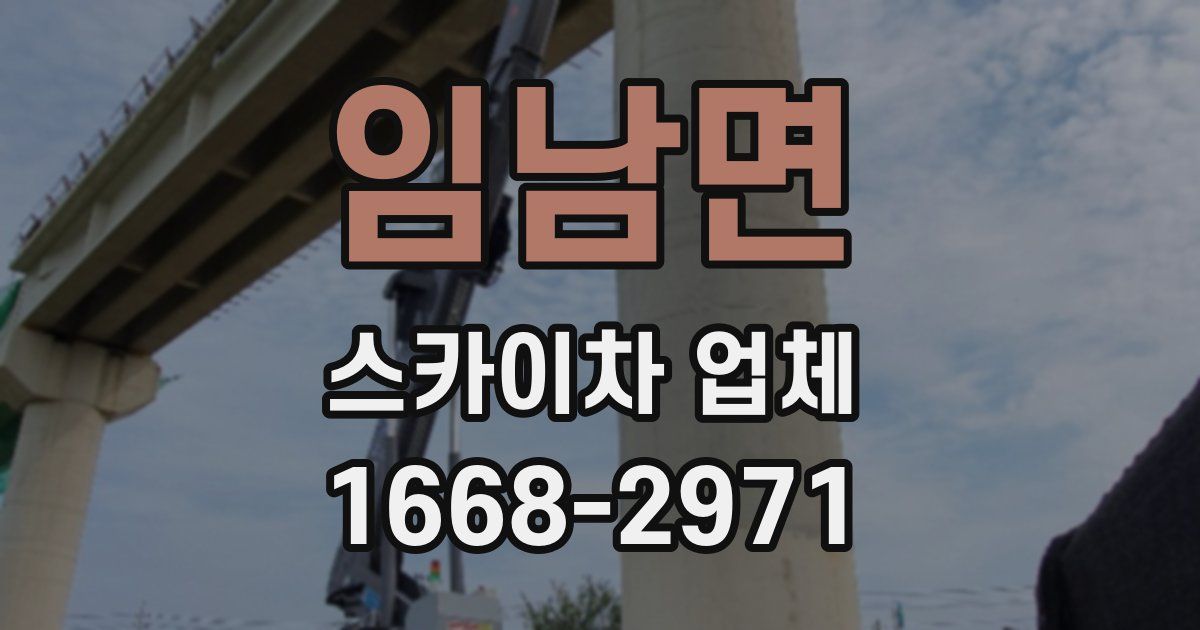 임남면 스카이차 업체