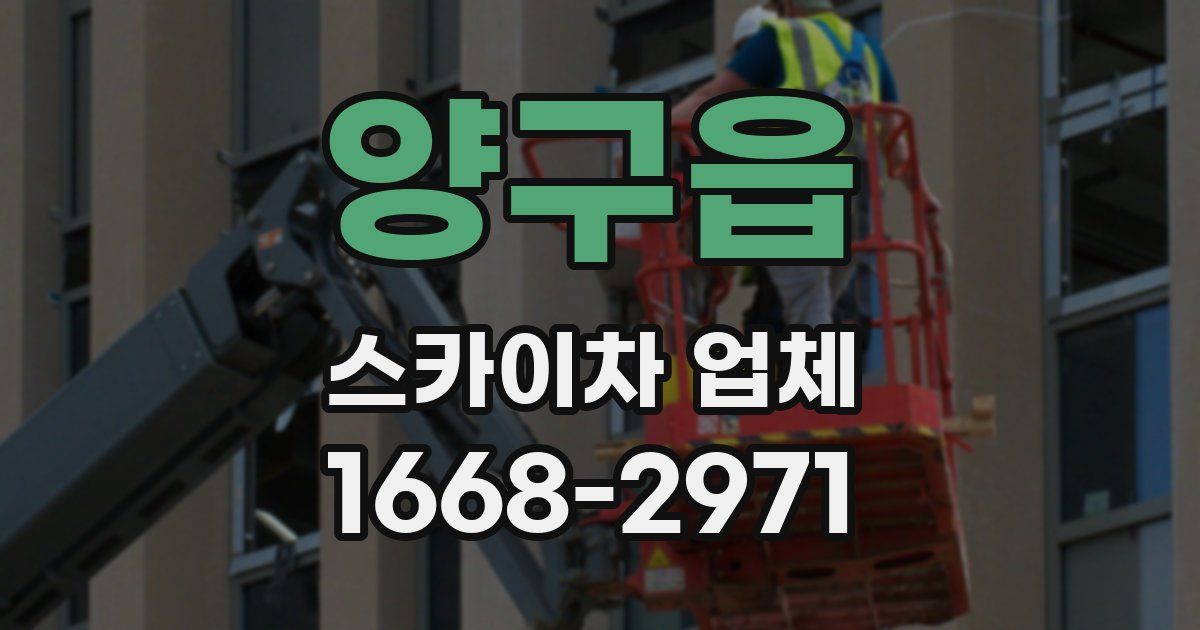 양구읍 스카이차 업체