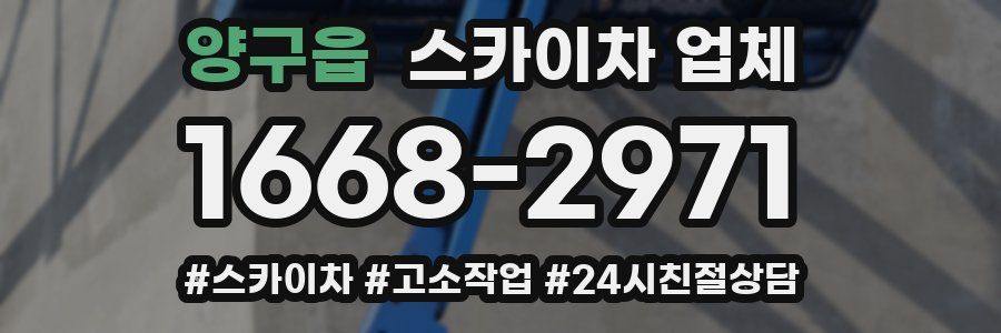 양구읍 스카이차 업체