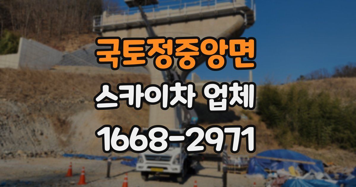 국토정중앙면 스카이차 업체
