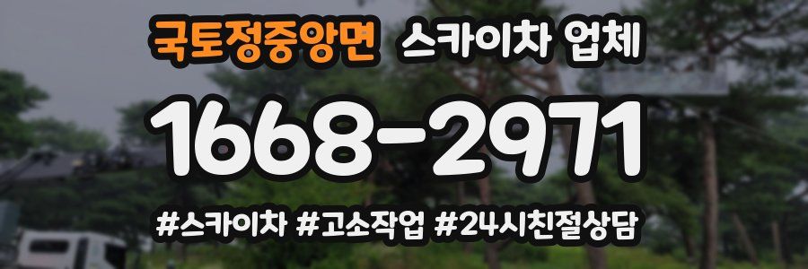 국토정중앙면 스카이차 업체