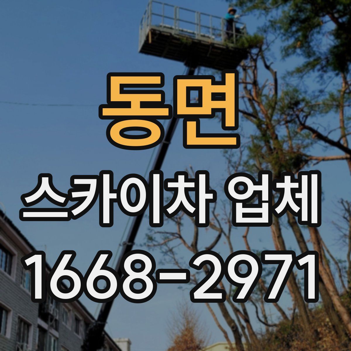 동면 스카이차 업체