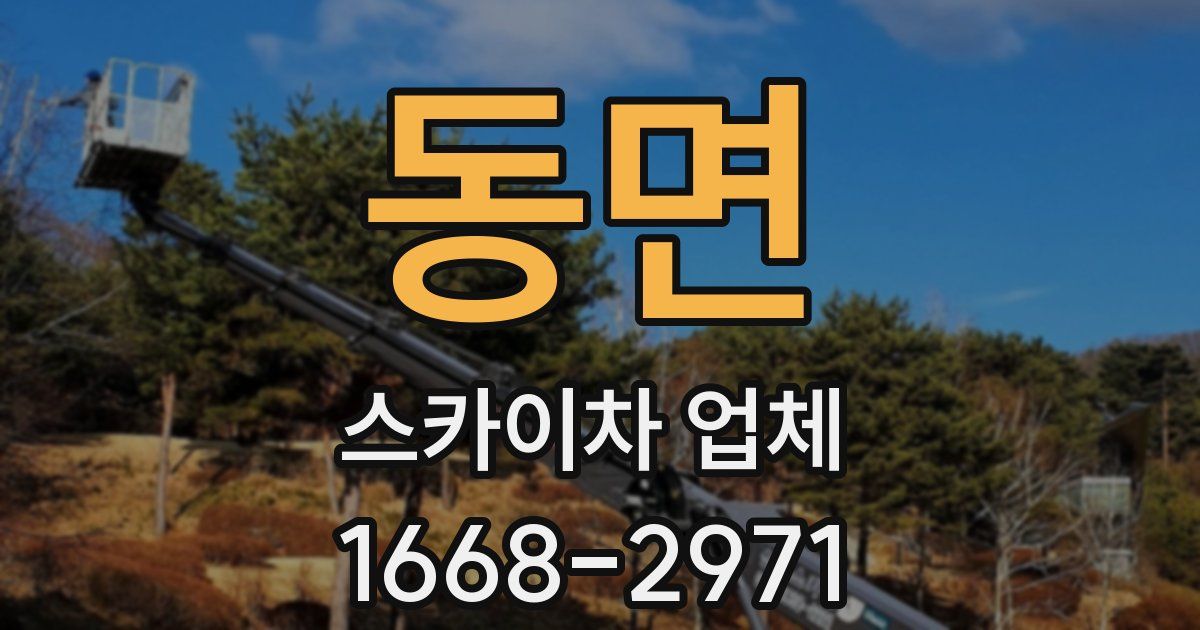 동면 스카이차 업체