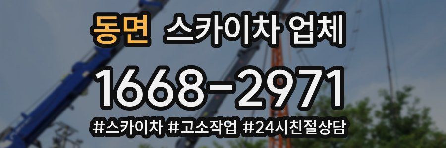 동면 스카이차 업체