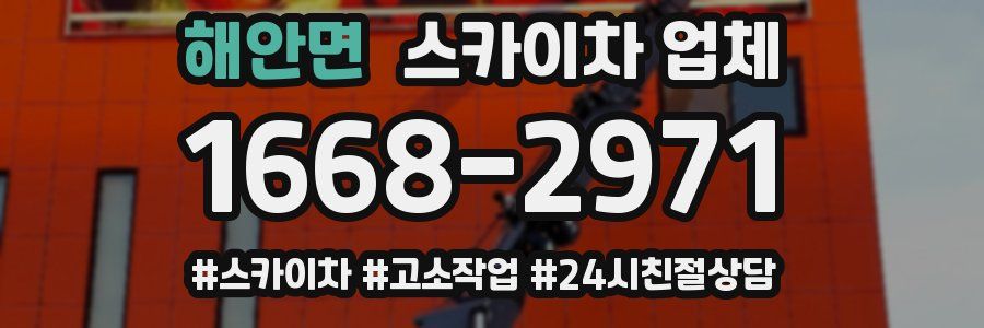 해안면 스카이차 업체