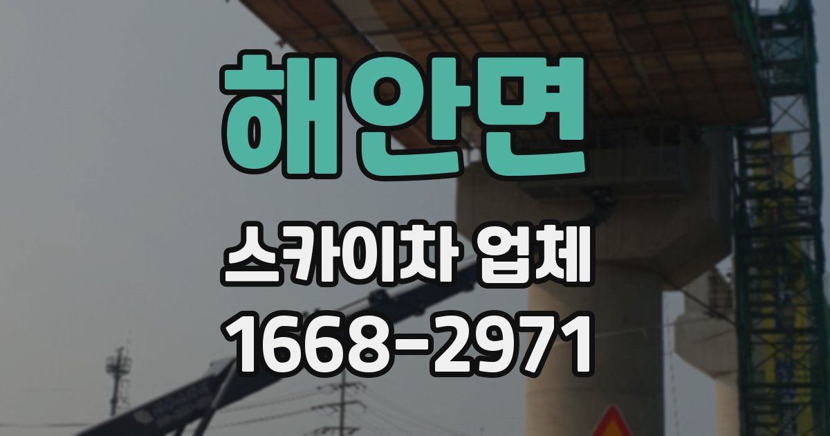 해안면 스카이차 업체