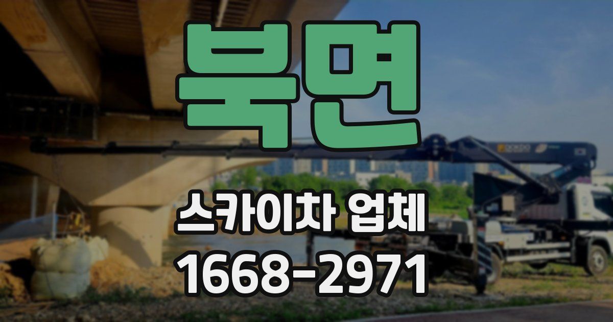 북면 스카이차 업체