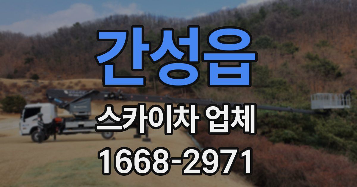 간성읍 스카이차 업체