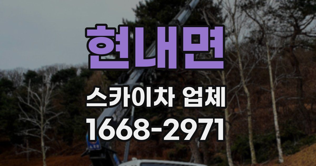 현내면 스카이차 업체