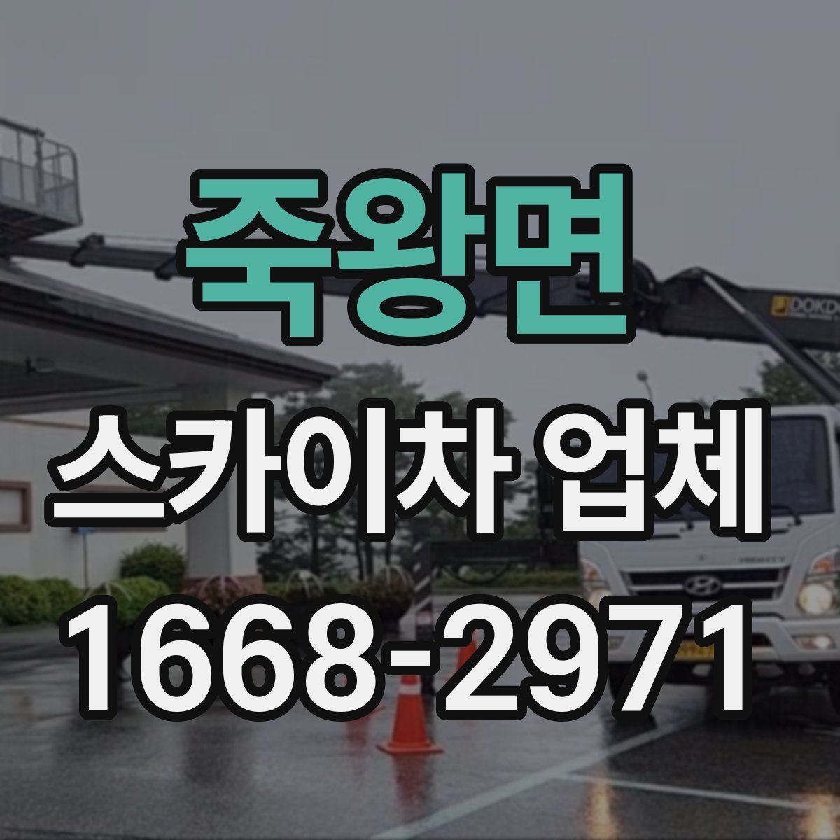 죽왕면 스카이차 업체