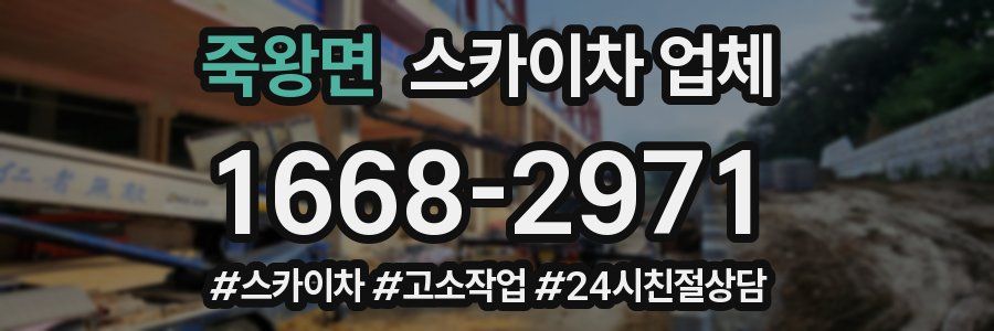 죽왕면 스카이차 업체