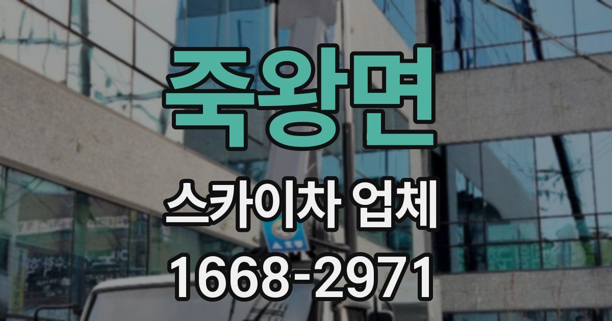 죽왕면 스카이차 업체