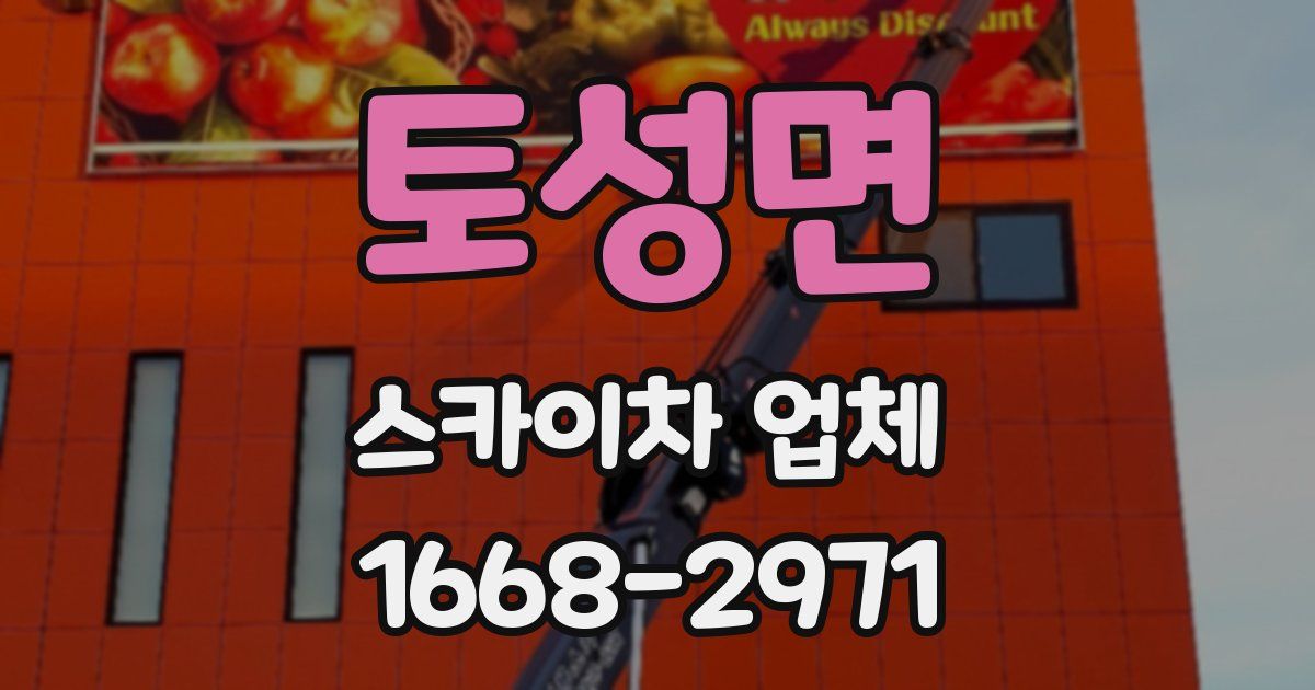 토성면 스카이차 업체