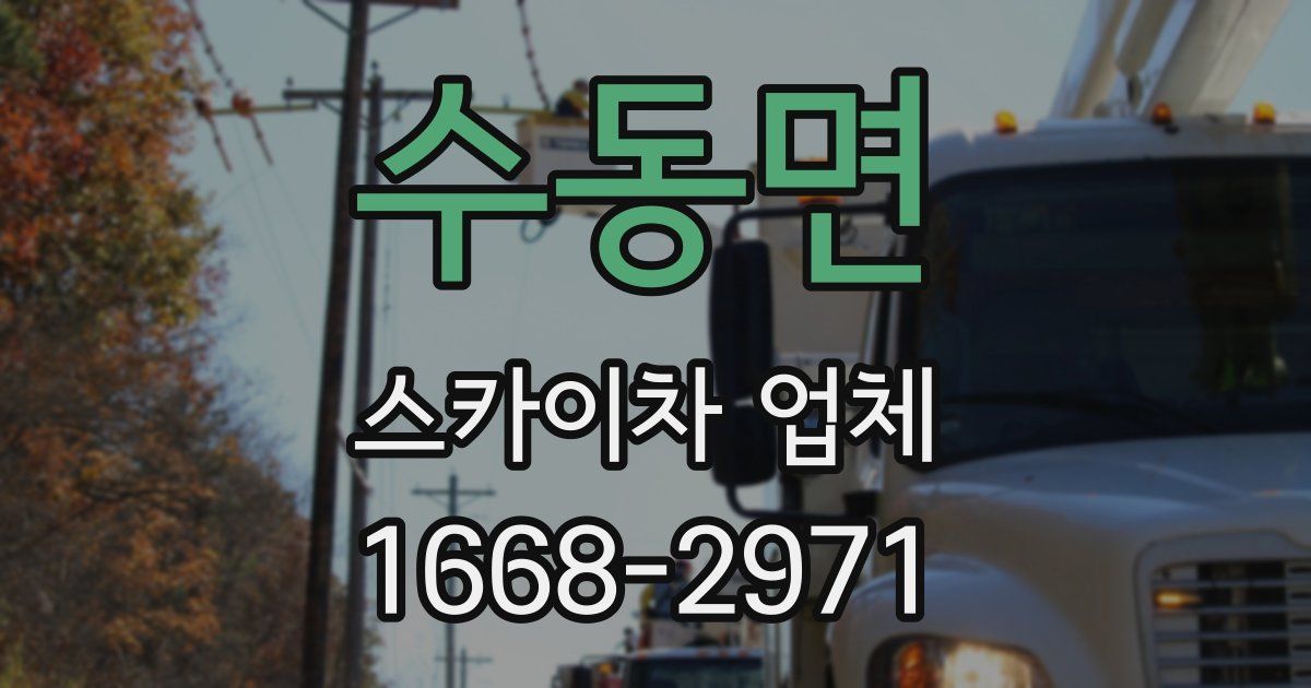 수동면 스카이차 업체