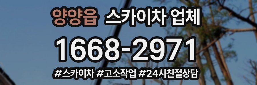 양양읍 스카이차 업체