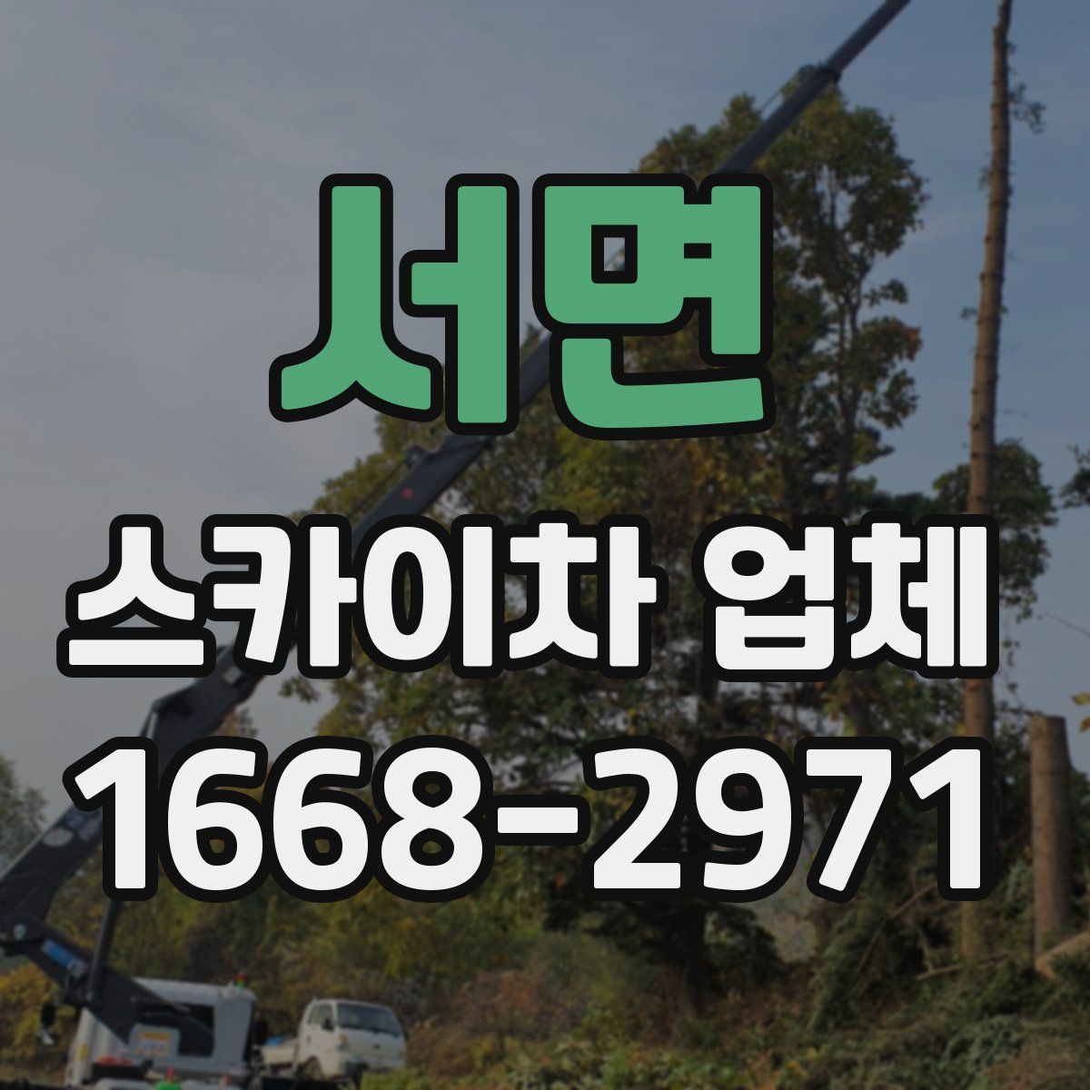 서면 스카이차 업체