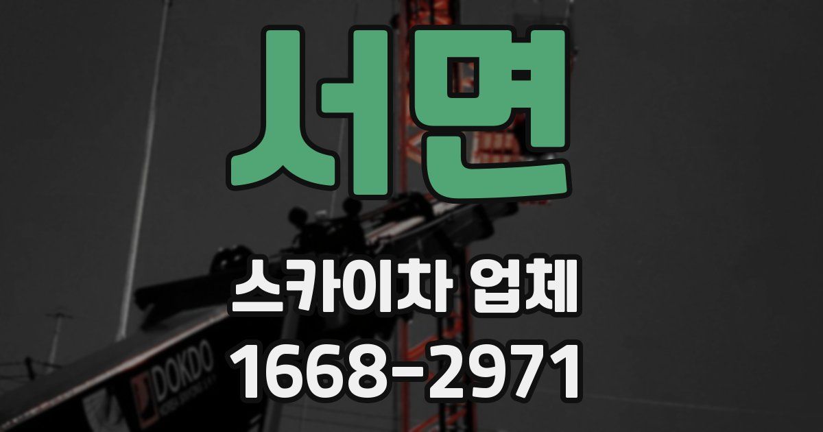 서면 스카이차 업체