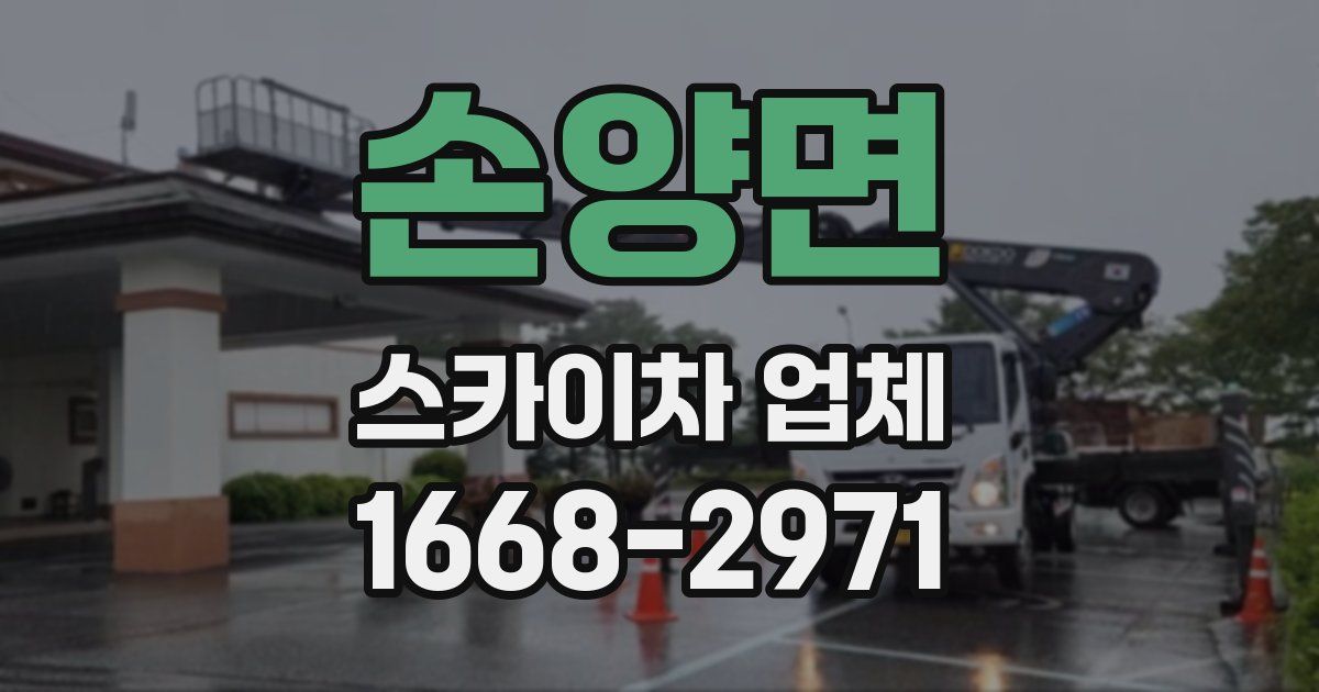 손양면 스카이차 업체