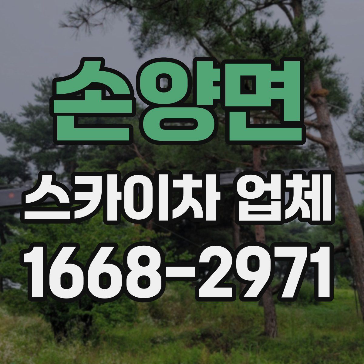 손양면 스카이차 업체