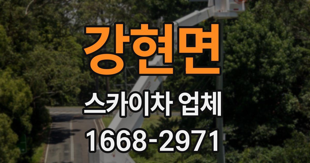 강현면 스카이차 업체