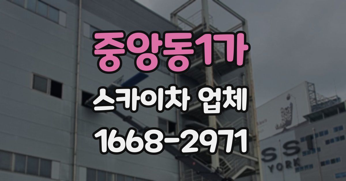 중앙동1가 스카이차 업체