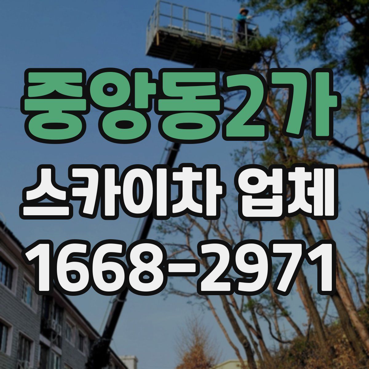 중앙동2가 스카이차 업체
