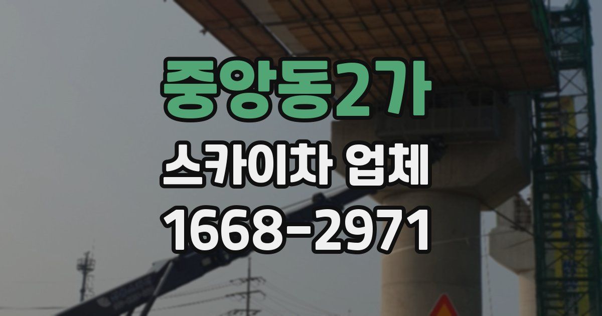 중앙동2가 스카이차 업체