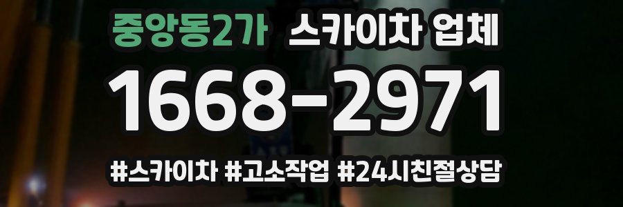 중앙동2가 스카이차 업체