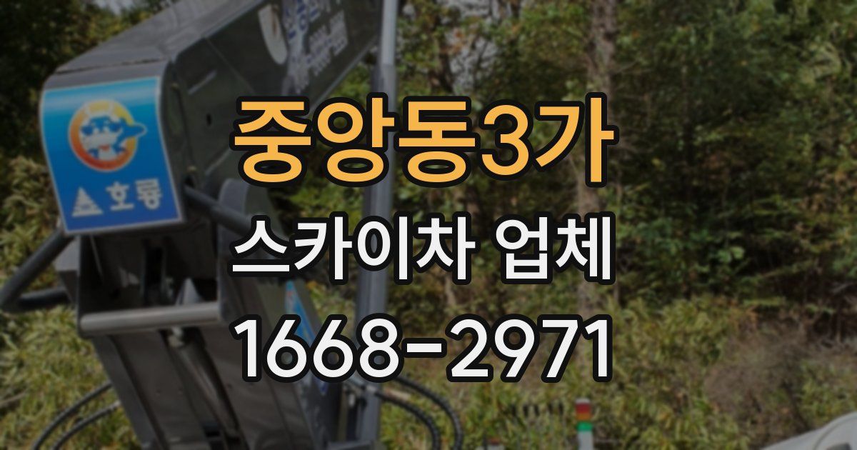 중앙동3가 스카이차 업체