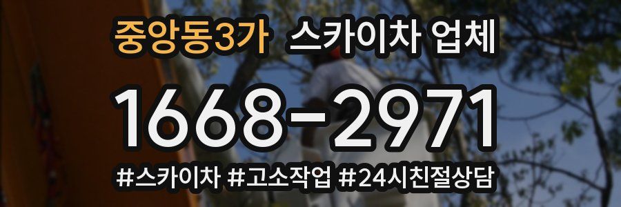 중앙동3가 스카이차 업체