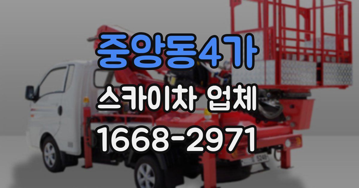 중앙동4가 스카이차 업체