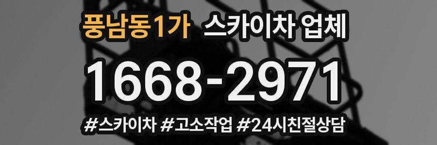 풍남동1가 스카이차 업체