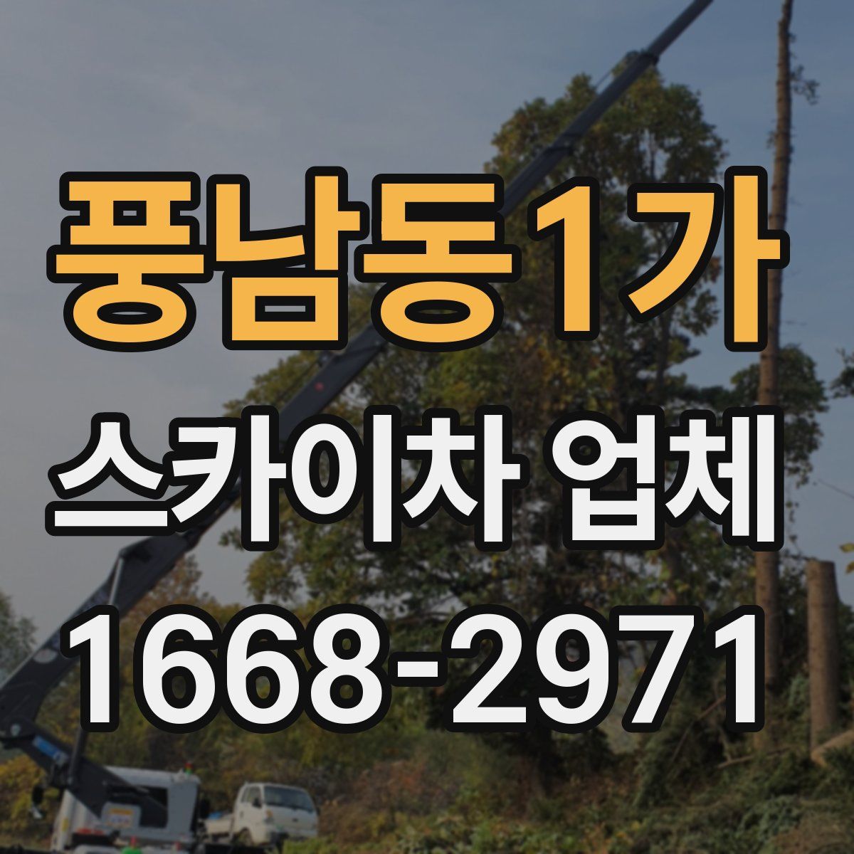 풍남동1가 스카이차 업체