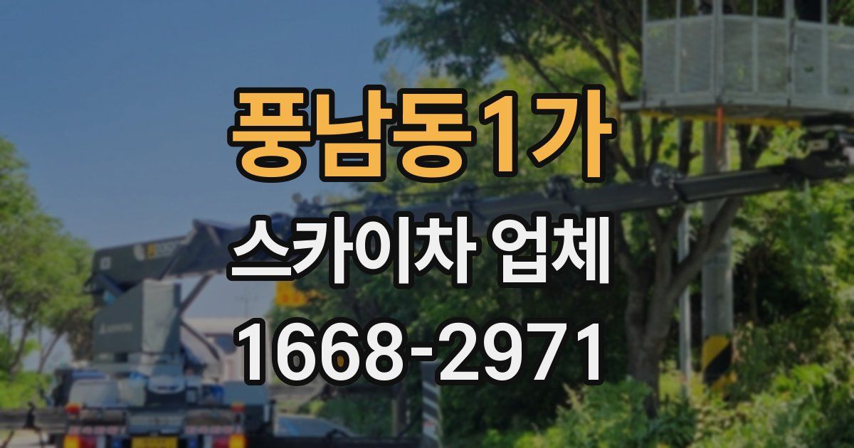 풍남동1가 스카이차 업체