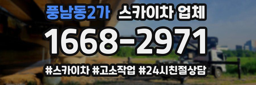 풍남동2가 스카이차 업체