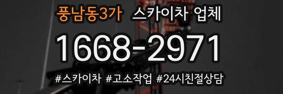 풍남동3가 스카이차 업체