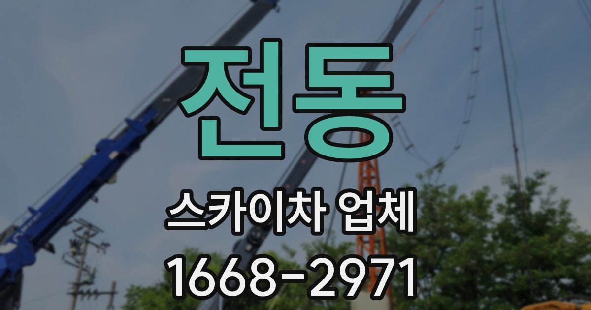 전동 스카이차 업체