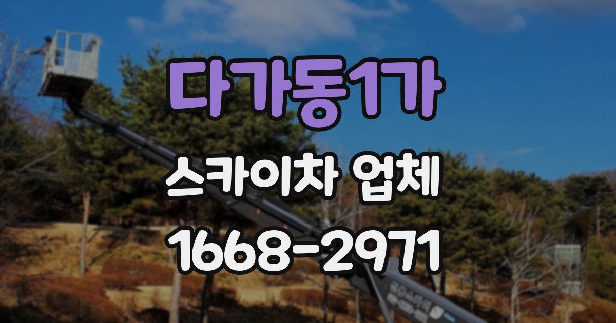 다가동1가 스카이차 업체