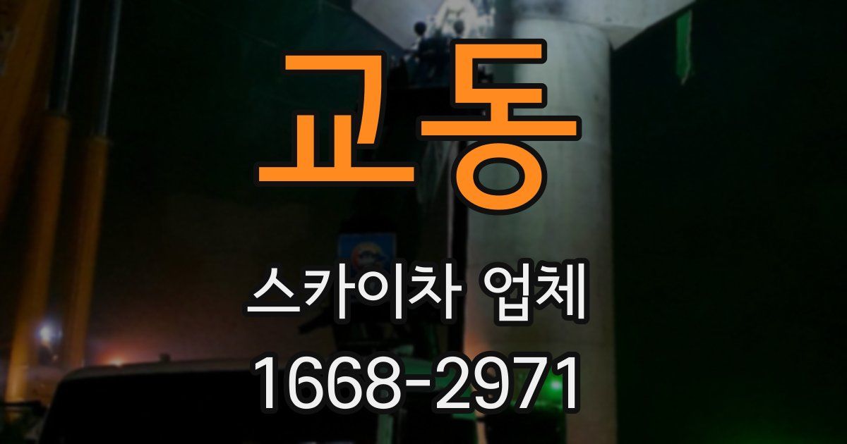 교동 스카이차 업체