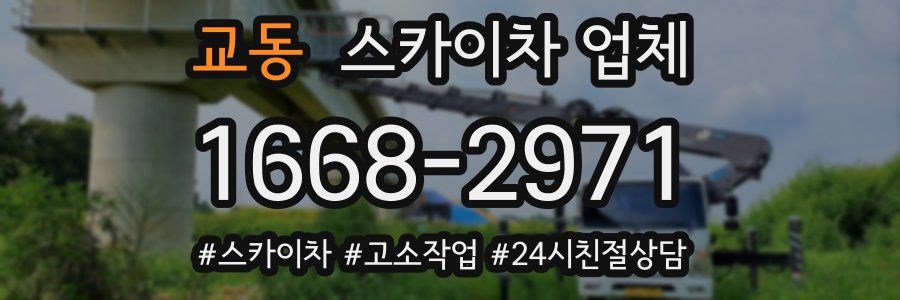 교동 스카이차 업체