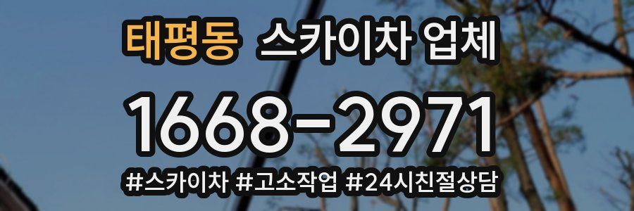 태평동 스카이차 업체